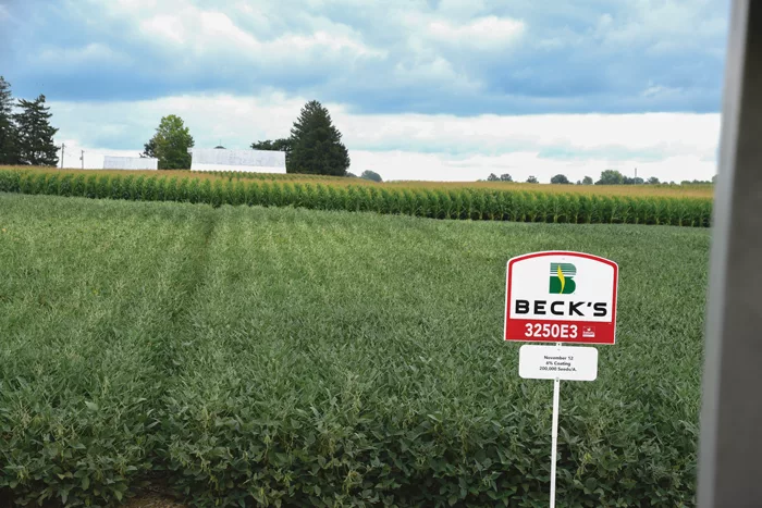 Soybeans-Emerge-in-Fall.png