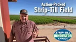 Action-Packed-Strip-Till-Field.png