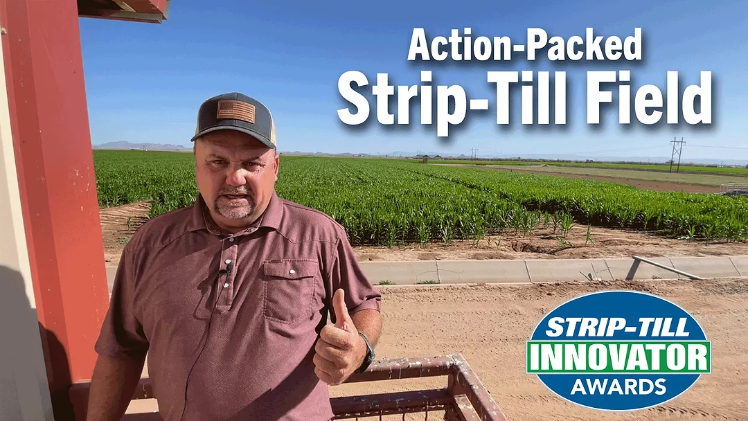 Action-Packed-Strip-Till-Field.png