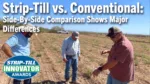 Strip-Till-vs.-Conventional-Side-By-Side-Comparison-Shows-Major-Differences.png