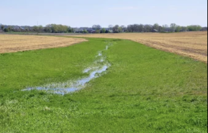 Strip-till trends from space