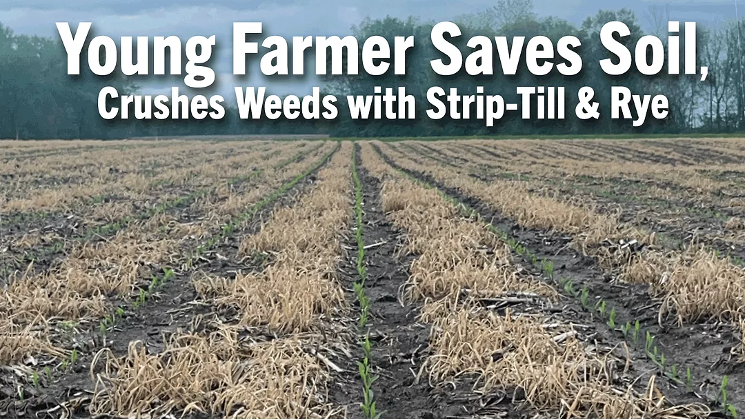 Young-Farmer-Saves-Soil,-Crushes-Weeds-with-Strip-Till-&-Rye.png