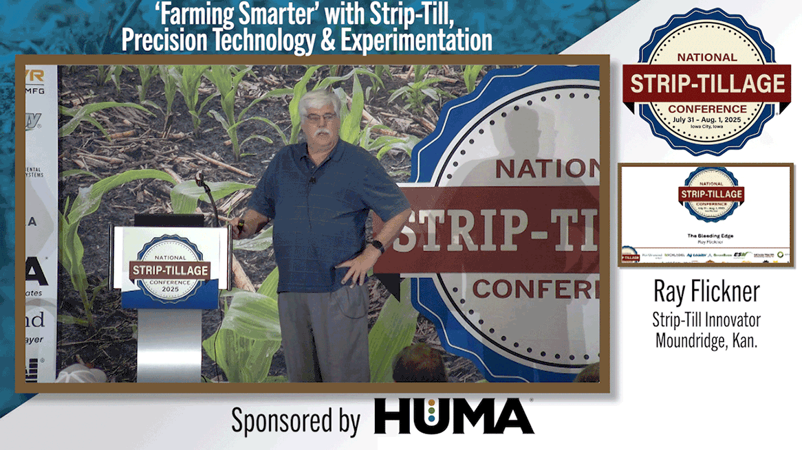 STF-Innovator.png