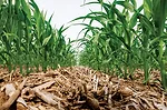 Klink Farm_JZ_0618_web.jpg