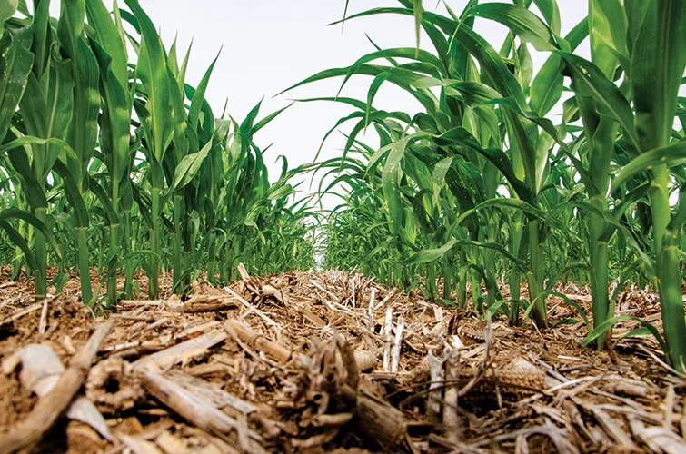 Klink Farm_JZ_0618_web.jpg