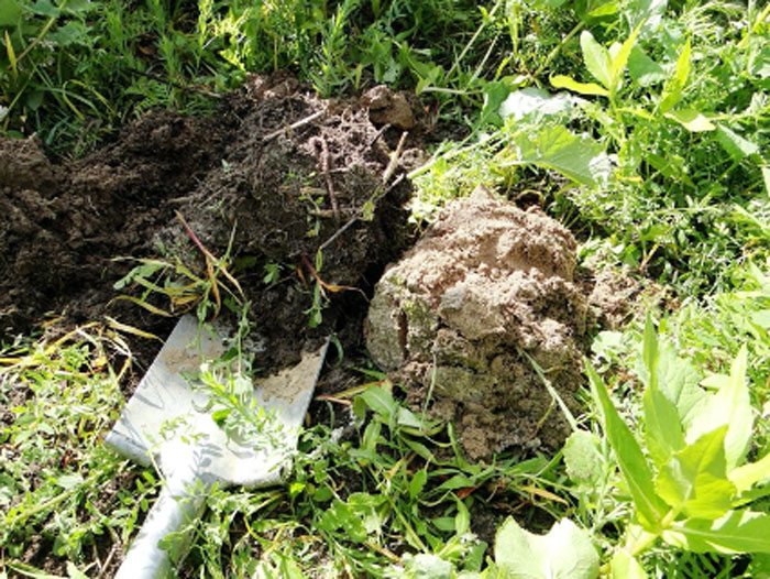 Soil-tests-say-these-two-soils-are-the-same.jpg