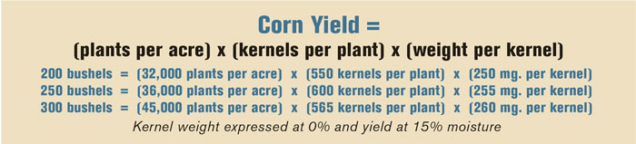 individual-kernel-weight_700.jpg