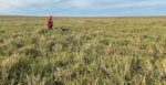 Holt-Ranch-1.jpg