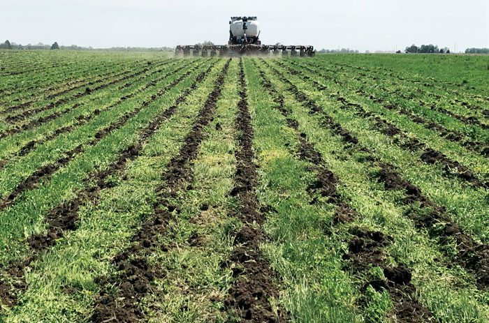 Reader Commentary: Strip-Tilling During a Wet Fall