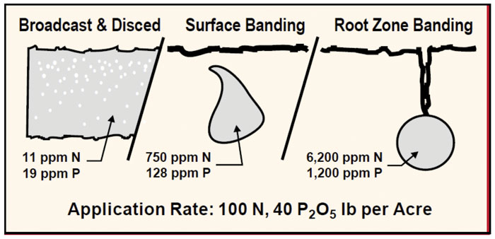 nutrient-concentrations.jpg