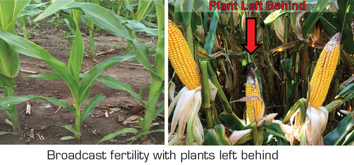 Broadcast-fertility-with-plants-left-behind.jpg