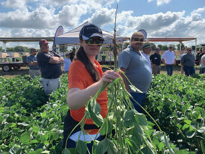 PTI-Lateral-Roots-soybeans.jpg