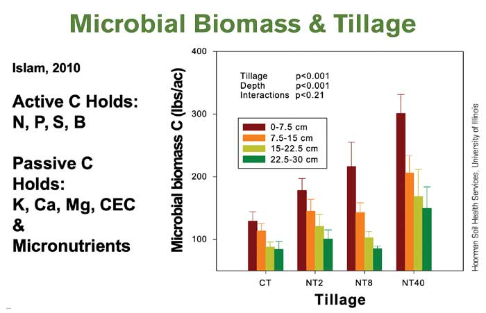 Winter-2023/Microbial-Biomass--Tillage-700