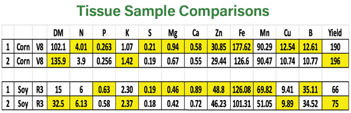 Tissue-Sample-Comparisons-700.jpg