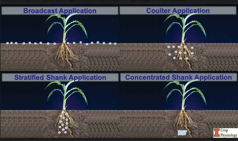 impact-of-fertilizer-placement-on-strip-till.jpg