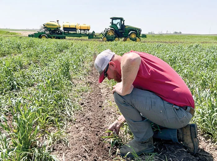 Shawn-Feikema-plants-green-into-living-cereal-rye.jpg
