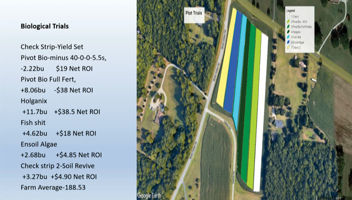 NNTC-CHECK-STRIPS-700.jpg