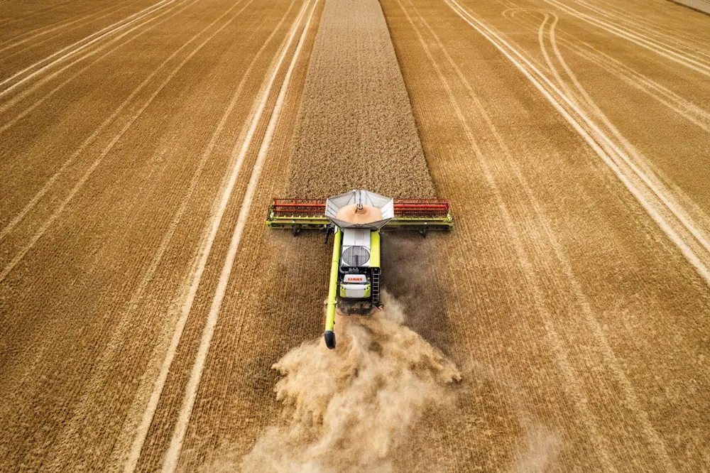 3 Ways to Boost Harvest Payday-1.jpg