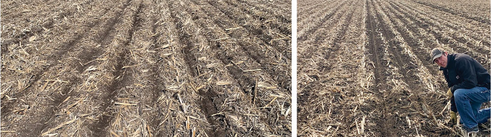Harmon-Wilts_Strip-Till-3.jpg