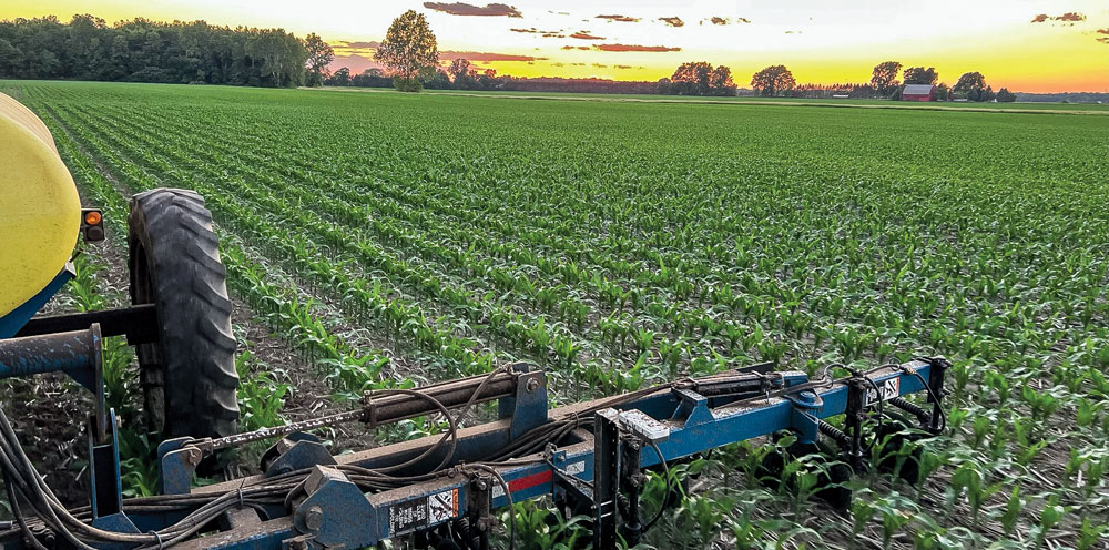 Solving-a-Farm-Puzzle-with-Strip-Till-3.jpg