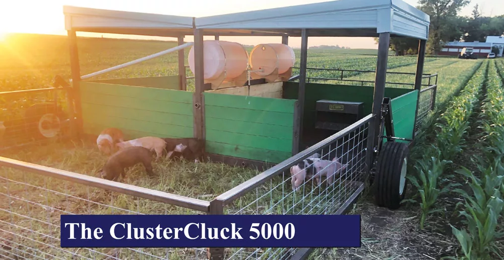 Strip-Cropping-Corn-with-Livestock-Pasture-clustercluck.jpg