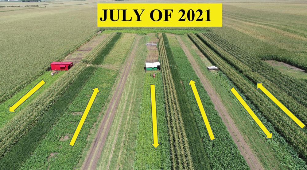 Strip-Cropping-Corn-with-Livestock-Pasture-livestock-racetrack.jpg