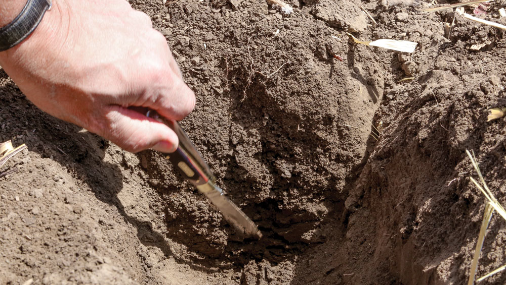 Rex-Bland-Strip-Till-Berm-Building-Tips-3.jpg