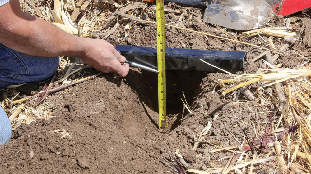Rex-Bland-Strip-Till-Berm-Building-Tips-4.jpg