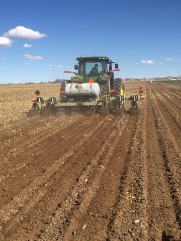 strip-tilling.jpg