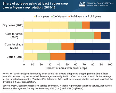cover crop rotations