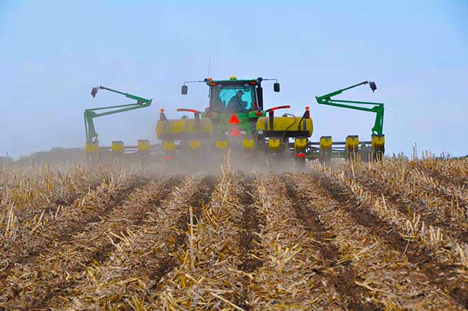 Strip-Till rows after planting