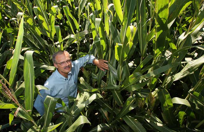 Tony Vyn, Agronomy Department, Purdue University