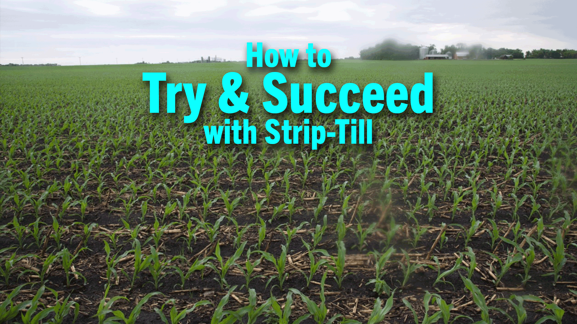 How-to-Try--Succeed-with-Strip-Till.png