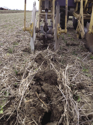 Switch To Strip-Till, Cover Crops Friendly To Yields And Profits