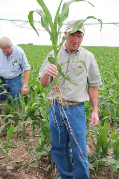 Features - Strip-Till Lets Nebraskans Grow More Corn ...