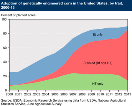 Adoption of genetically engineered corn